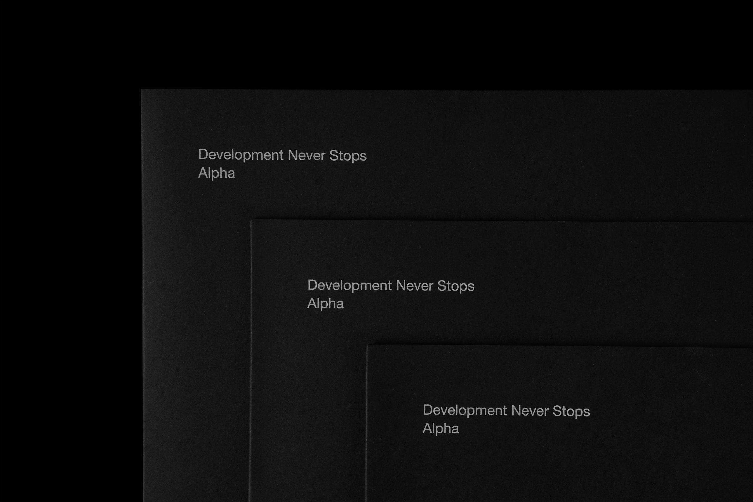 Development Never Stops Alpha | Sicherheit, Industrie – Branding, Webdesign, Print und Messe