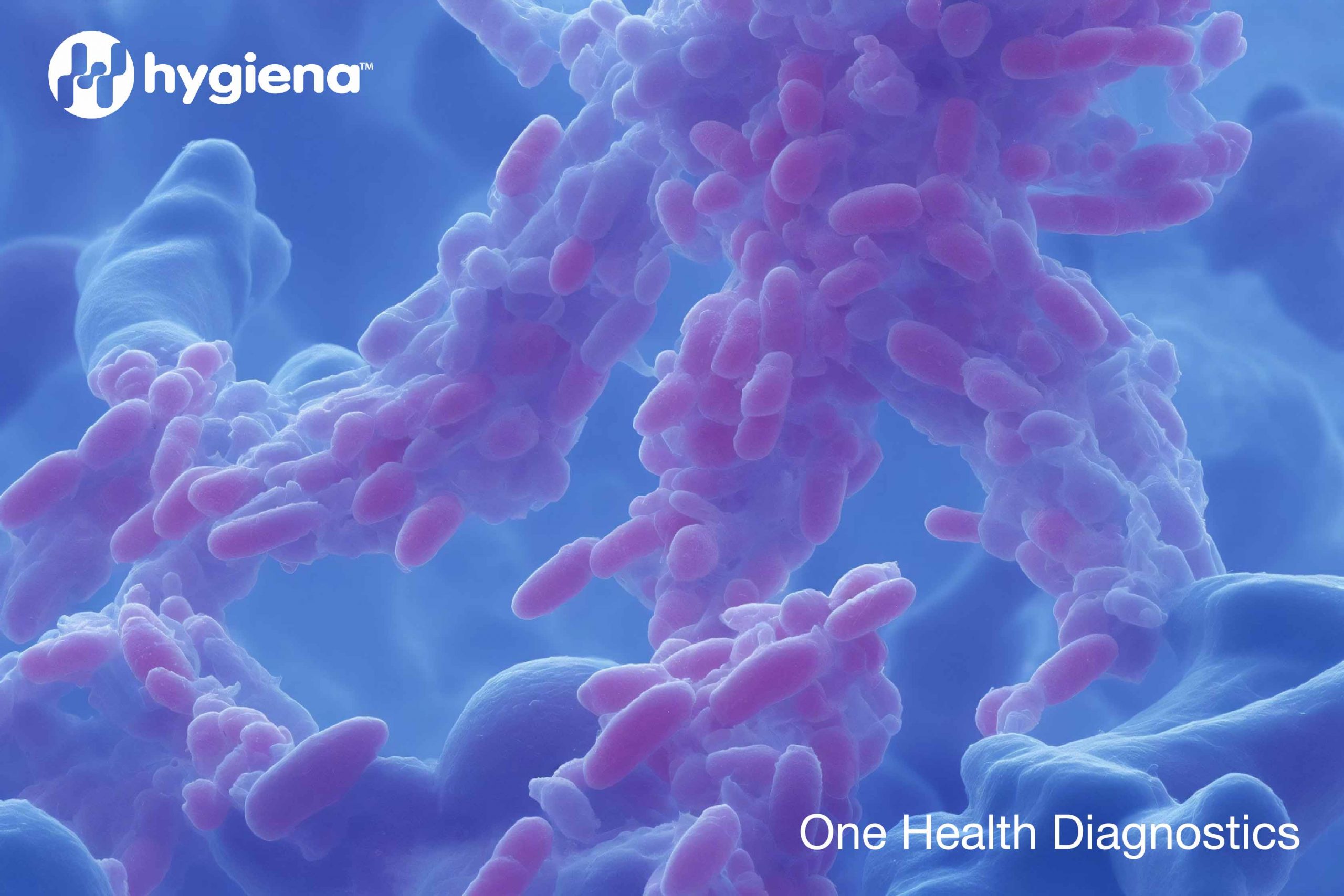 lexikon_hygiena_logo_slogan_bacteria_3_2_01