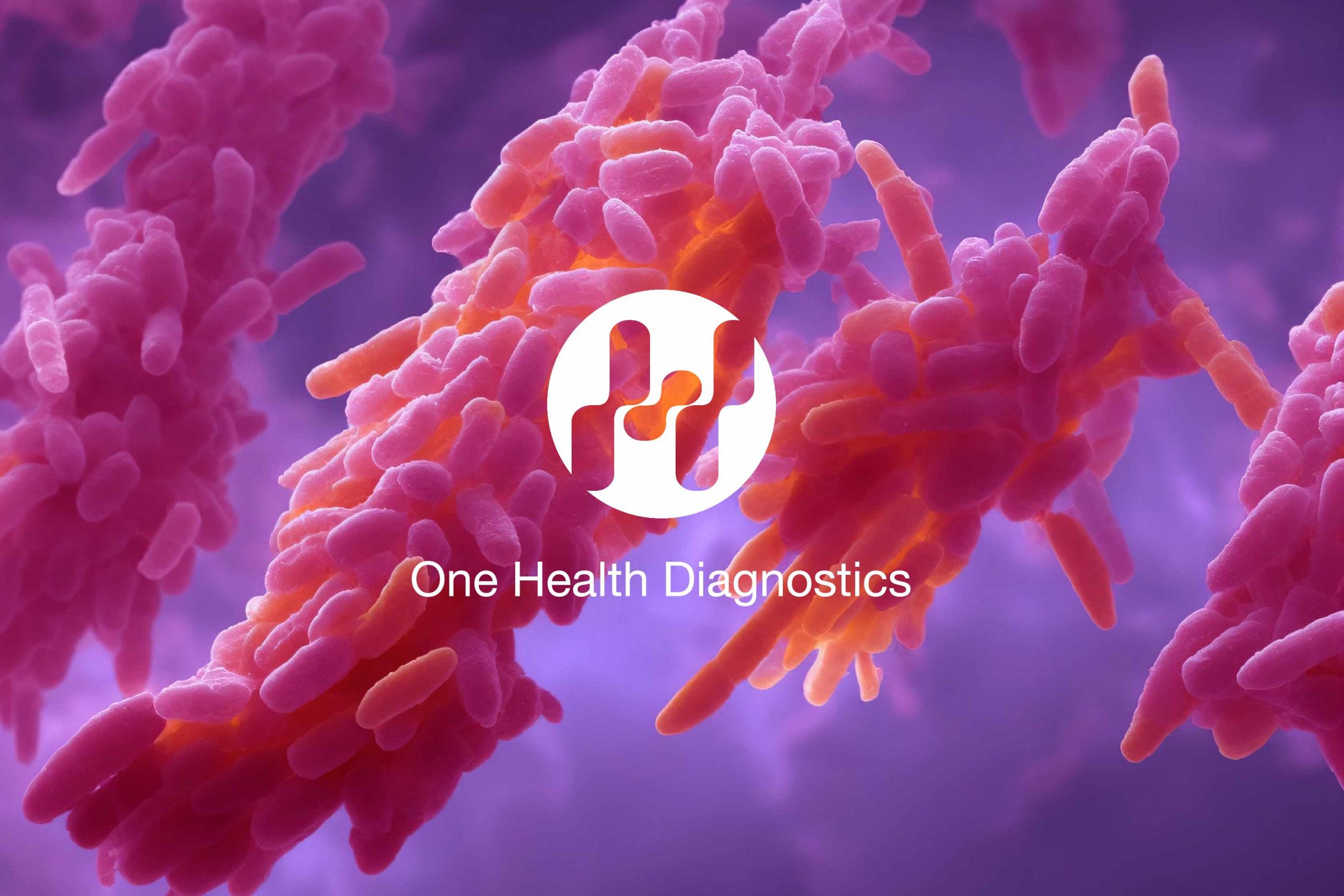 lexikon_hygiena_logo_slogan_coli_3_2_01